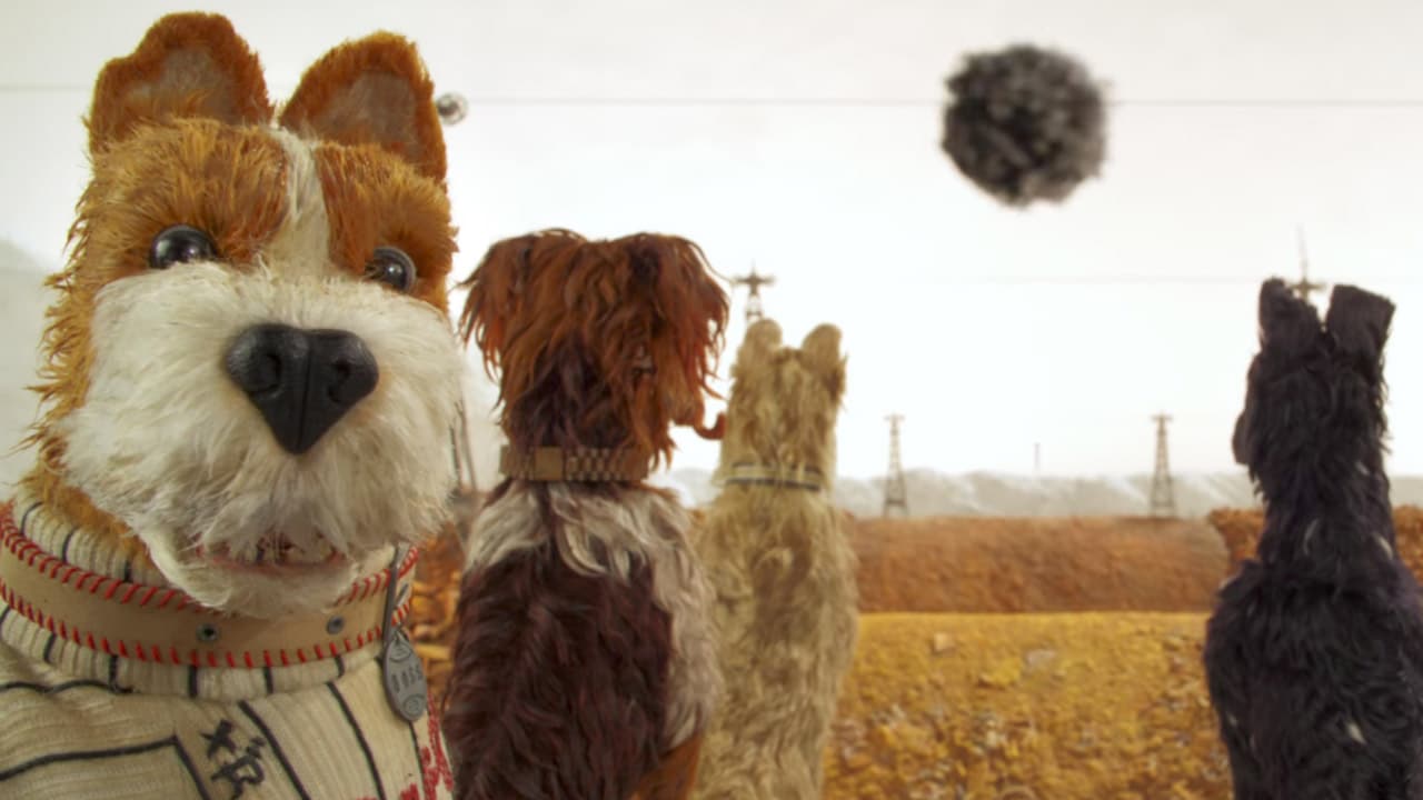 L'Isola dei cani: dal 1 maggio al cinema l'epica opera di animazione di Wes Anderson