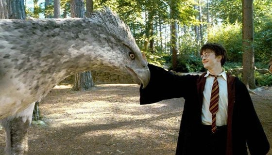 Harry Potter: le creature fantastiche più amate e temute del Wizarding World
