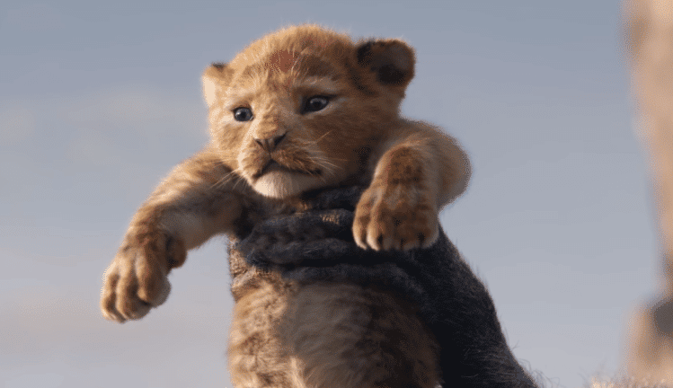 Il Re Leone: il primo trailer del live action Disney in uscita nel 2019