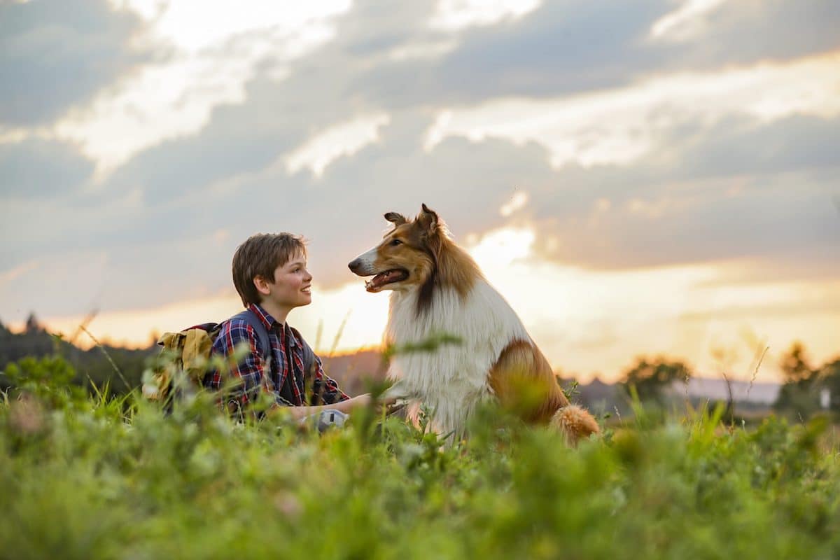 Lassie torna a casa: recensione del film sulla collie più famosa al mondo