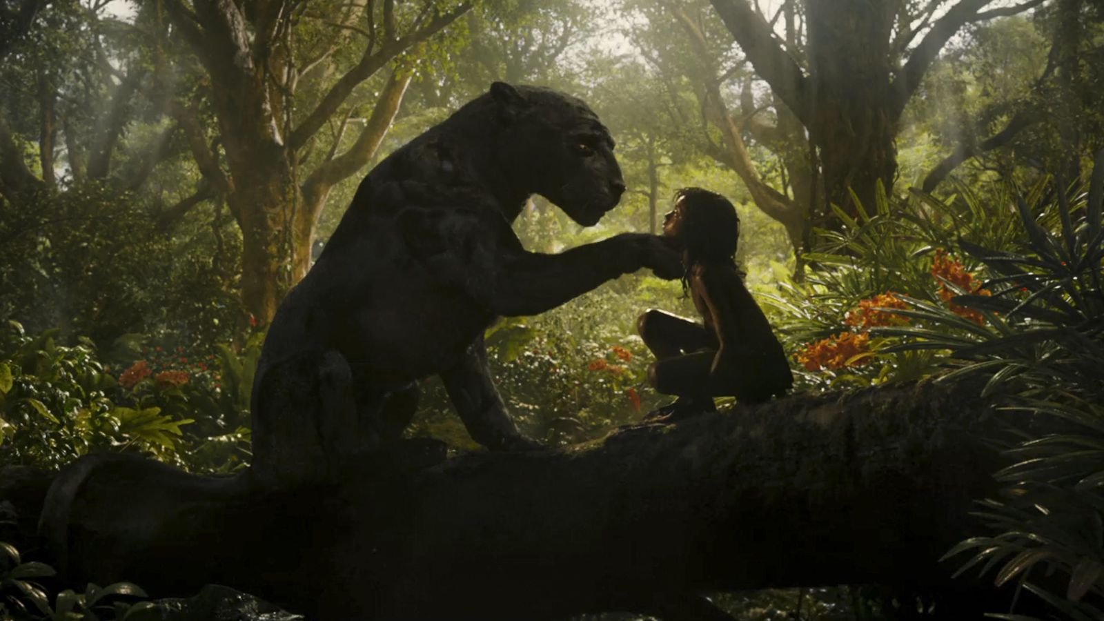 “Mowgli – Il figlio della giungla” sbarca su Netflix | Streaming News